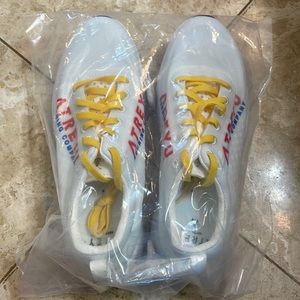 Brand new Atreyu “The Artist” carbon plated racing shoes